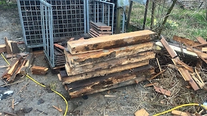 Abbruchholz