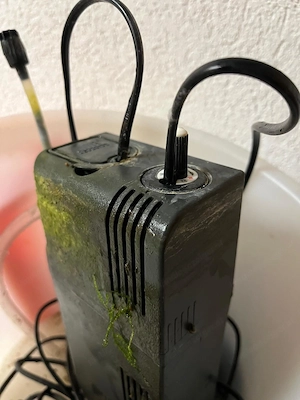 Aquarium 50 Lt. für Einsteiger Bild 5