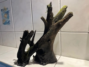 Aquarium 50 Lt. für Einsteiger Bild 6