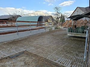 Einstellplatz in Offenstall Bild 3