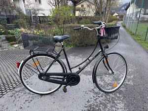 Stylisches Damenrad im Hollandrad-Stil Modell: Amsterdam Bild 4