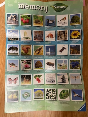 Memory Ravensburger Bild 4