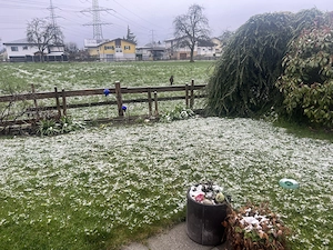 Mini Backofen - ungebraucht Bild 6