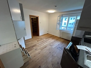 Vermietung: Altes Einfamilienhaus in ruhiger Lage Bild 8