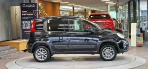 Fiat Panda Bild 4