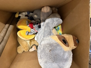 Zu verschenken  Bild 4