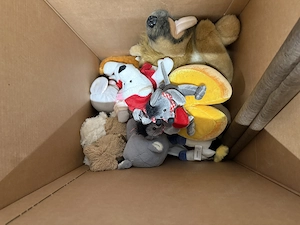 Zu verschenken  Bild 3