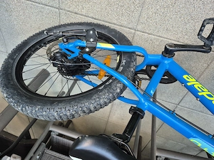 Kinderfahrrad 20 Zoll Bild 2