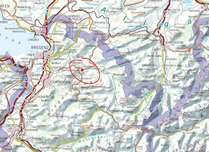 Verkauf: Baugrundstück in Lingenau 974m2   (provisionsfrei) Bild 4