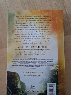 Buch für Jugendliche Bild 2