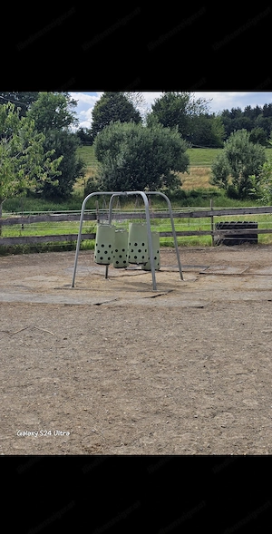 Einstellplatz für Pferd Pony Bild 4