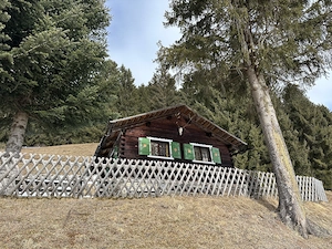 Berg- bzw. Maisäßhütte und Stall auf Montiel im Montafon mit Zweitwohnsitzwidmung zu vermieten Bild 7