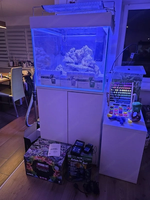 Meerwasser Aquarium Salzwasseraquarium 