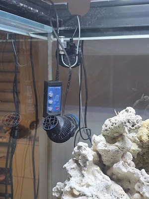 Meerwasser Aquarium Salzwasseraquarium  Bild 4