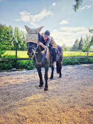 Reitbeteiligung zu vergeben. Bild 3