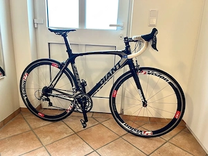 Rennrad GIANT TCR Carbon