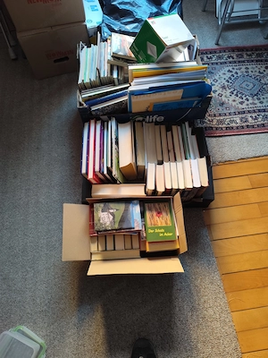 Bücher, Kommoden Bild 2