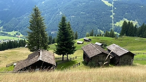 Berg- bzw. Maisäßhütte und Stall auf Montiel im Montafon mit Zweitwohnsitzwidmung zu vermieten Bild 5