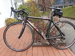 Rennrad Kraftstoff Bild 2