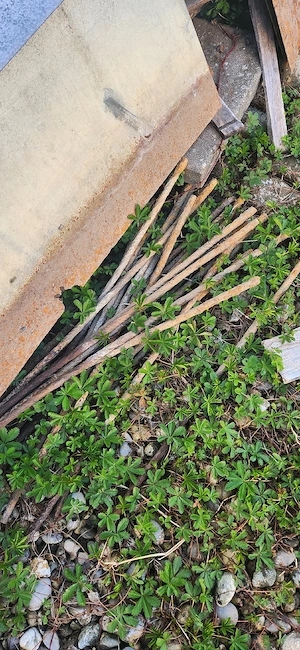 Schneckenbleche für Gemüsegarten Bild 2