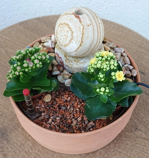 Zimmerbrunnen mit höheneinstellbarer, neuer Pumpe (siehe Rechnung).