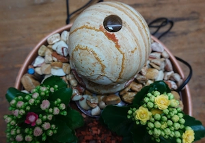 Zimmerbrunnen mit höheneinstellbarer, neuer Pumpe (siehe Rechnung).