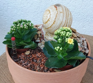 Zimmerbrunnen mit höheneinstellbarer, neuer Pumpe (siehe Rechnung). Bild 6