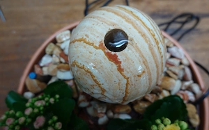 Zimmerbrunnen mit höheneinstellbarer, neuer Pumpe (siehe Rechnung). Bild 5