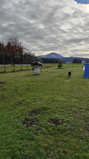 Landwirtschaftlicher Grund in Nofels   Bangs Bild 4