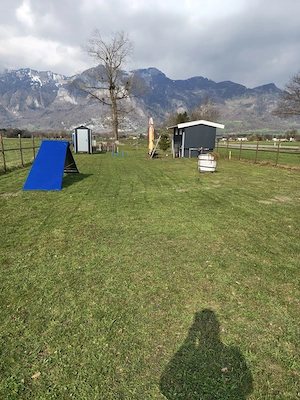 Landwirtschaftlicher Grund in Nofels   Bangs Bild 3