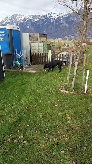 Landwirtschaftlicher Grund in Nofels   Bangs Bild 5