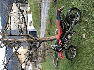 APRILIA SX 50 zu verkaufen 