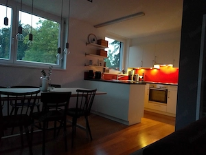 Sehr ruhige, gemütliche 3-Zimmerwohnung direkt an der Ill in Feldkirch-Gisingen ab Juli zu vermieten Bild 3