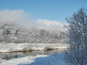 Sehr ruhige, gemütliche 3-Zimmerwohnung direkt an der Ill in Feldkirch-Gisingen ab Juli zu vermieten Bild 7
