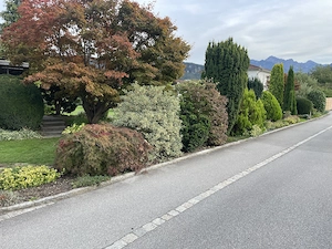 Haus in Feldkirch Altenstadt zu vermieten Bild 3