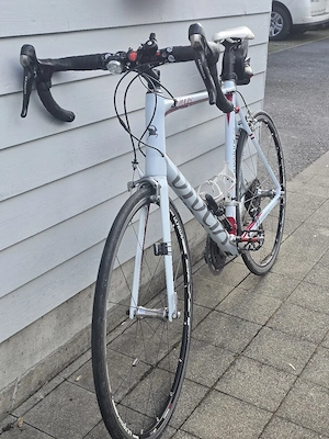 Vivax Carbon  E-Rennrad (HYBRID) mit 2 Akku Bild 3