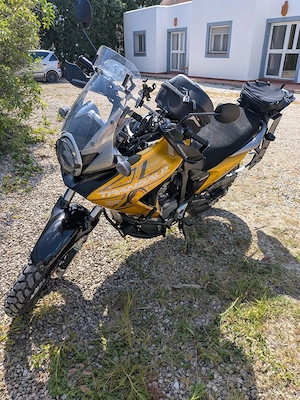 Honda Transalp XL 800 V Bild 4