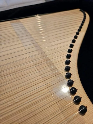 Veeh-Harfe   neuwertig Bild 2