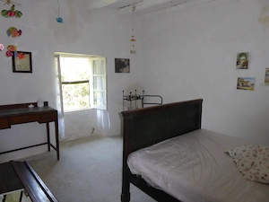 Privates Naturparadies zu verkaufen Bild 3