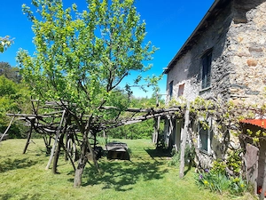 Privates Naturparadies zu verkaufen Bild 4