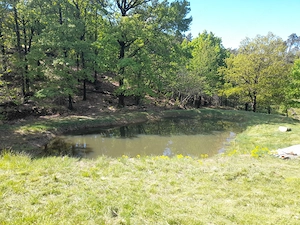 Privates Naturparadies zu verkaufen Bild 6