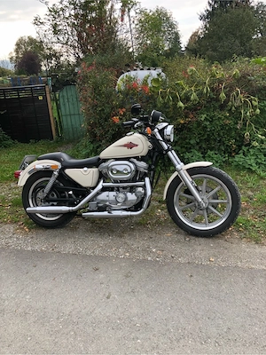 Harley Davisdson 883 XLH Bild 2