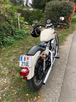 Harley Davisdson 883 XLH Bild 3