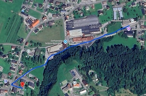 suchen Mieter für Haus in Schlins mit grünem Daumen Bild 3