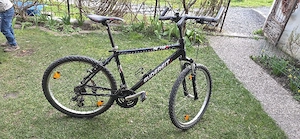 Fahrrad, Trekkingrad Bild 2