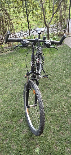 Fahrrad, Trekkingrad Bild 3