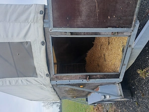 Pferdehänger Viehänger 1 1 2er Bild 2