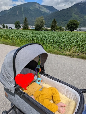 Kinderwagen Hartan Racer GTX Bild 3