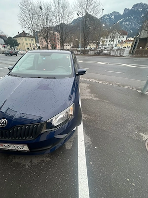 Gebrauchtes wagen verkauf (Skoda)