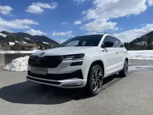 Skoda Karoq Bild 3